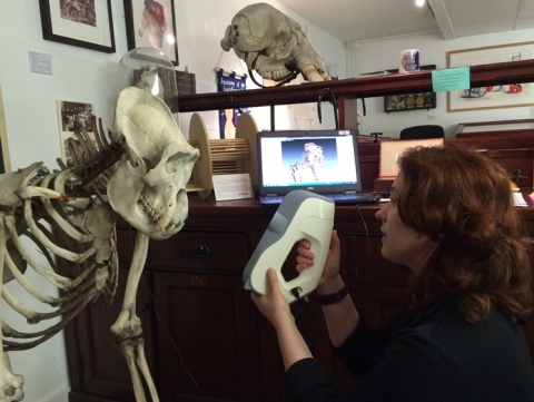 Fostering education and research with 3D scanning solutions